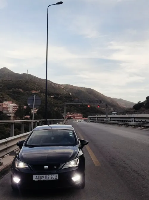 Seat Ibiza 2012 Ibiza
