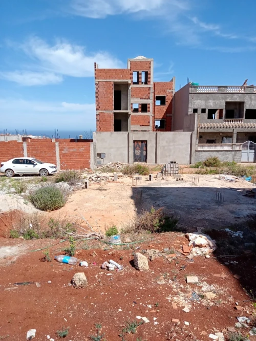 Vente Terrain Tlemcen Souk tlata