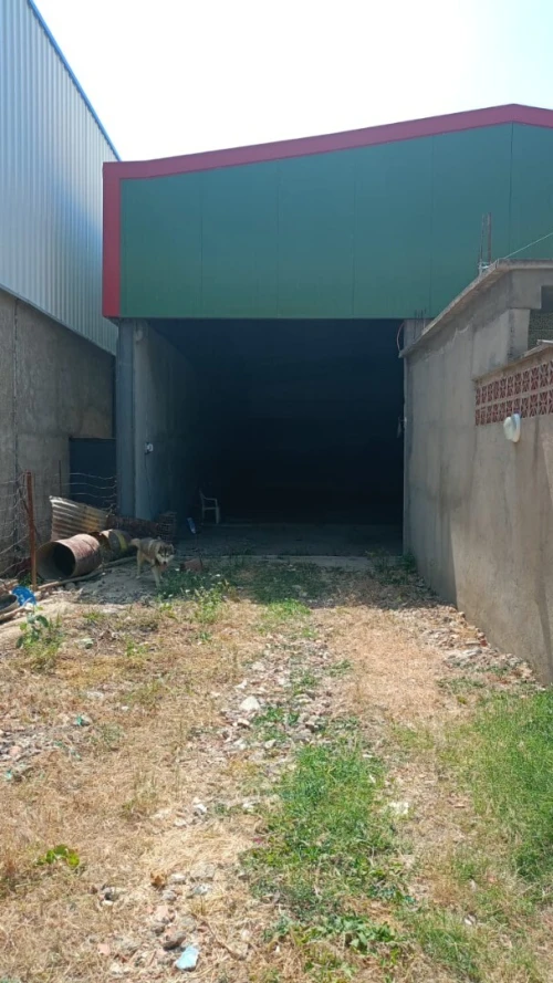 Location Hangar - Usine Blida Bougara