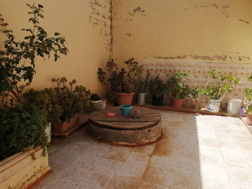 Vente Villa Sétif Guelal