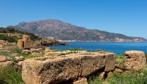 Villa Premium à Tipaza - Idéale pour Séminaires, Formations et Événements d'Entreprise ou Familiale
