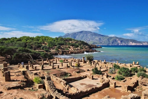 Villa Premium à Tipaza - Idéale pour Séminaires, Formations et Événements d'Entreprise ou Familiale