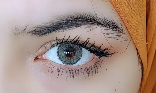 Lentille De Couleur Golden (Gris) عدسات ملونة