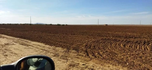 Vente Terrain Agricole M'Sila Zerarka