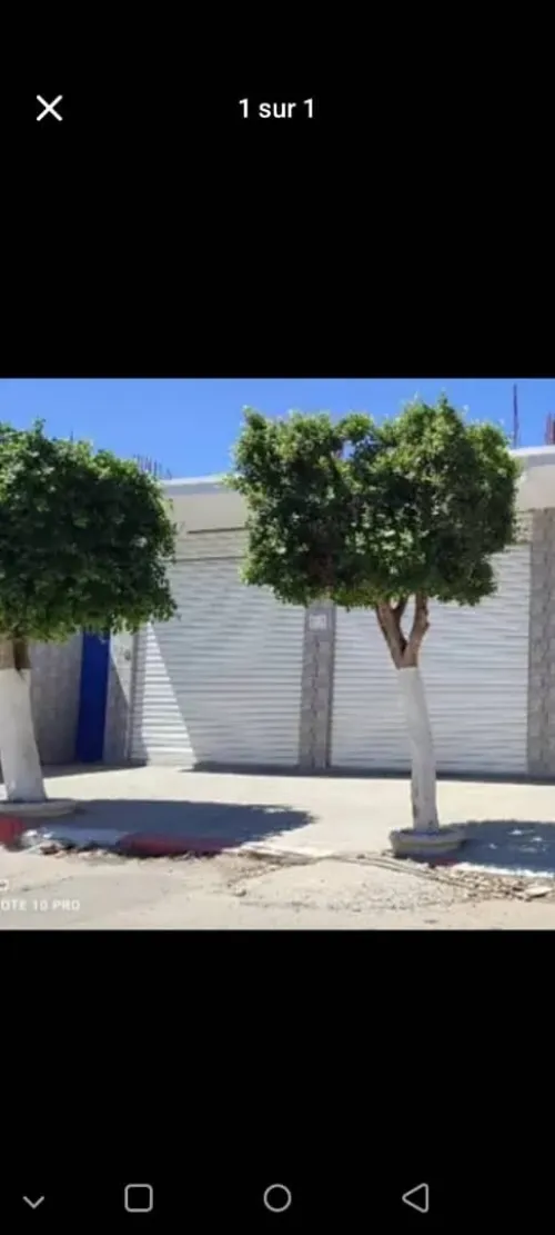 Location Local Boumerdès Ouled hedadj