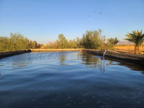 Vente Terrain Agricole Béchar Bechar