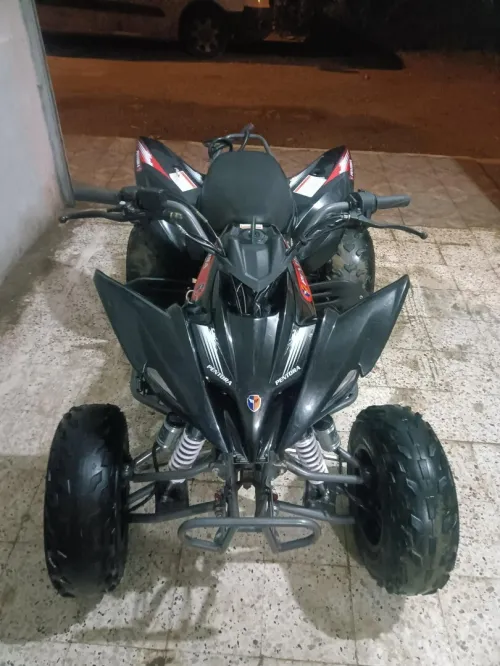 VMS raptor 2024