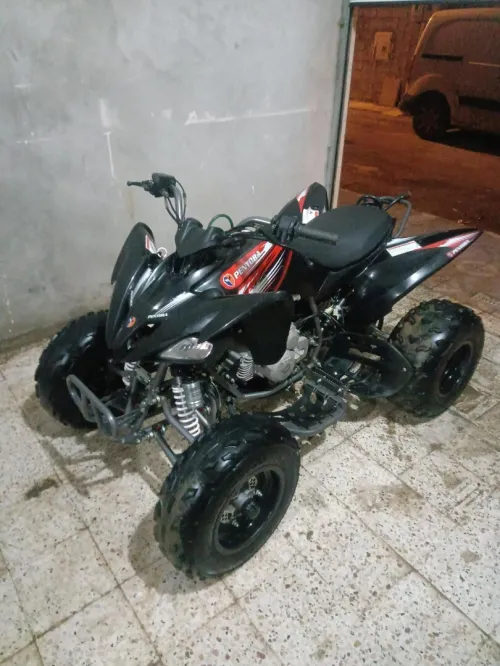 VMS raptor 2024