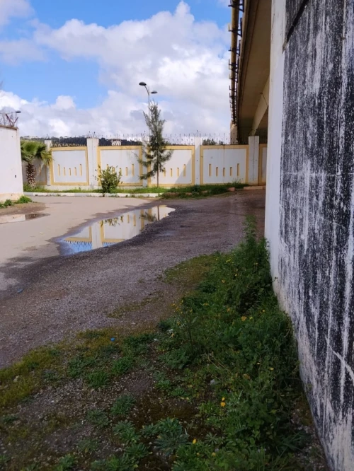 Vente Hangar - Usine Alger Birtouta