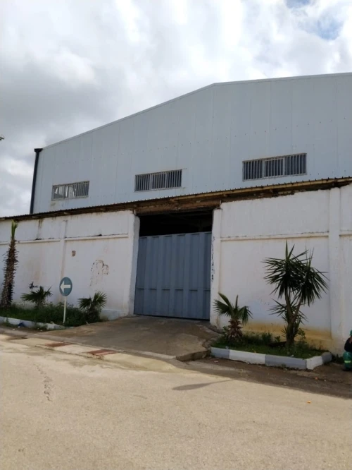 Vente Hangar - Usine Alger Birtouta