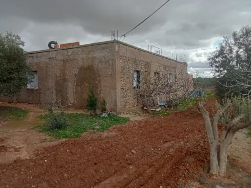 Vente Villa Mostaganem Souaflia