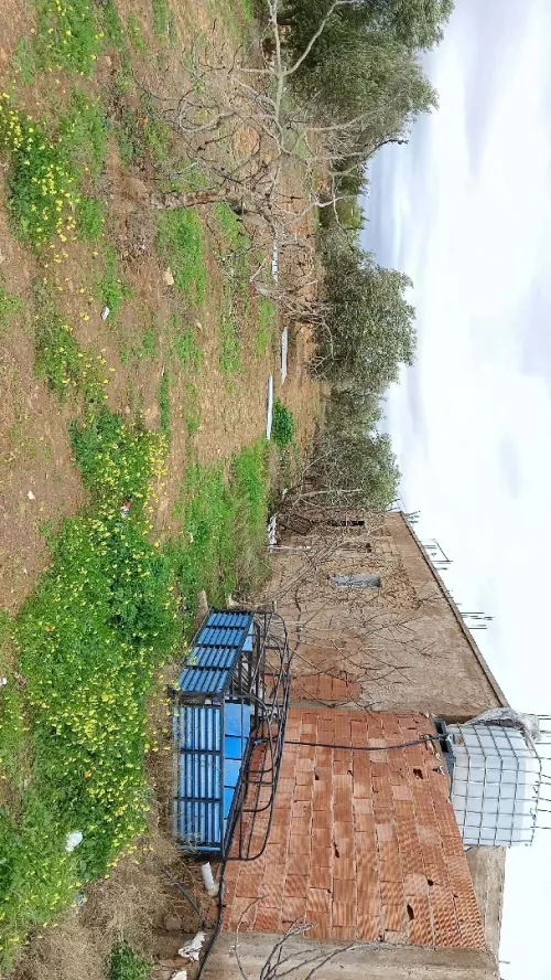 Vente Appartement F7 Mostaganem Souaflia