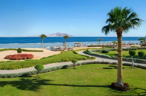 Caire - Sharm EL Sheikh - Janvier/ Février 2026