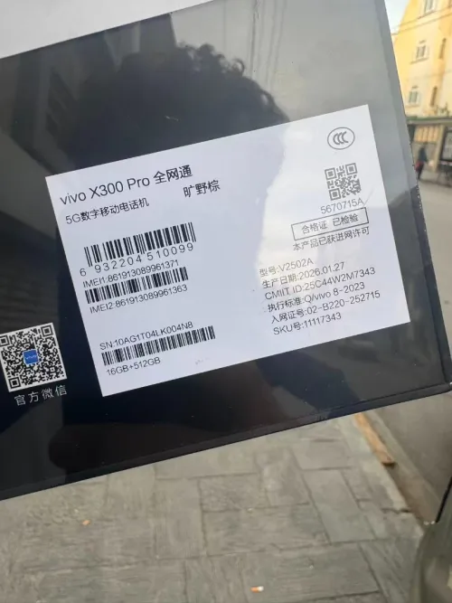 Vivo X300 pro