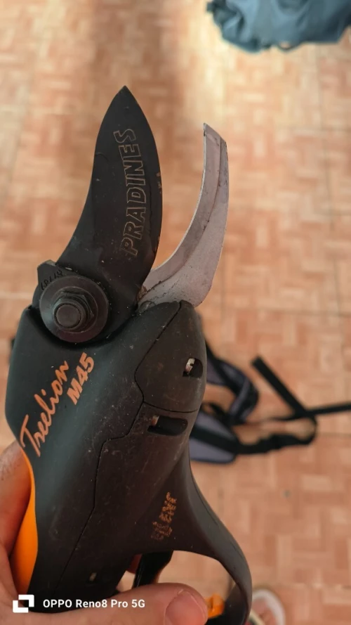 Sécateur électrique professionnel 