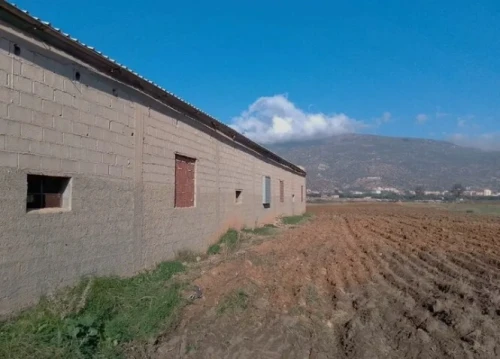 Location Hangar - Usine Béjaïa Ait rzine