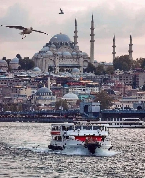 VOYAGE ORGANISE ISTANBUL VACCANCE DHIVER / FIN DANNEE