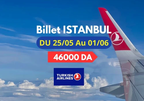 Vente billet ALGER ISTANBUL à 46000 DA avec Turkish Airlines