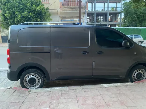 Fiat Scodo 2023 