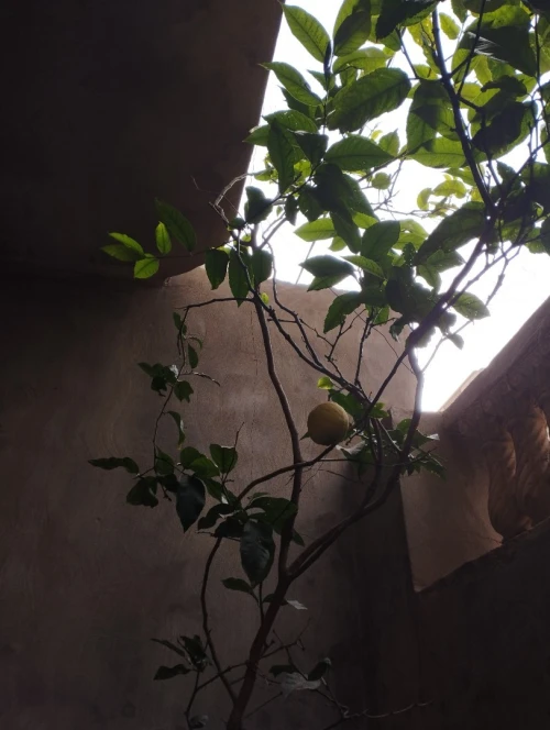 Vente Villa Oran Bir el djir