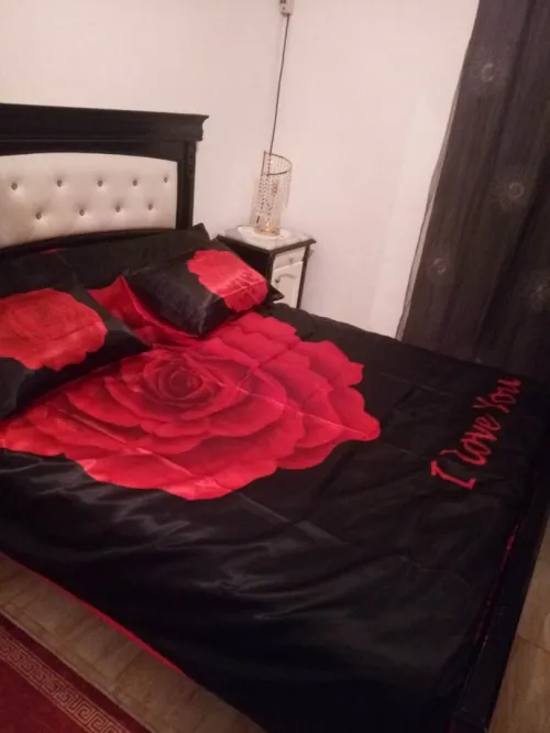 Location vacances Appartement F3 Alger Draria