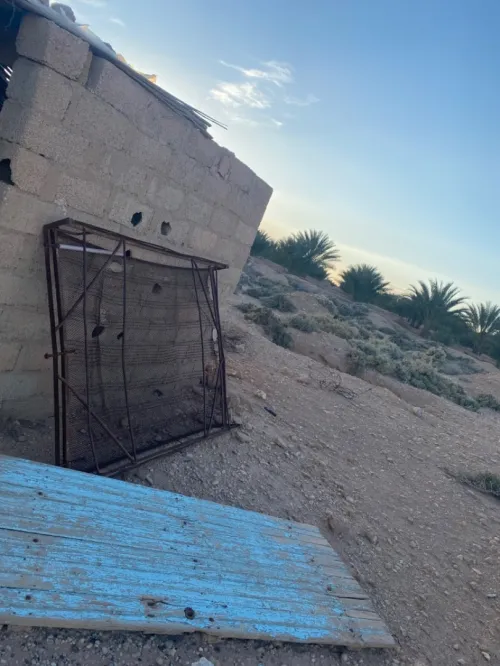 Vente Terrain Biskra El ghrous