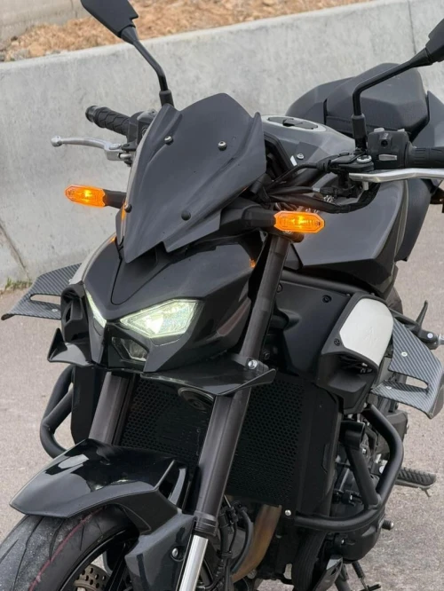 Kawasaki Z900 2025