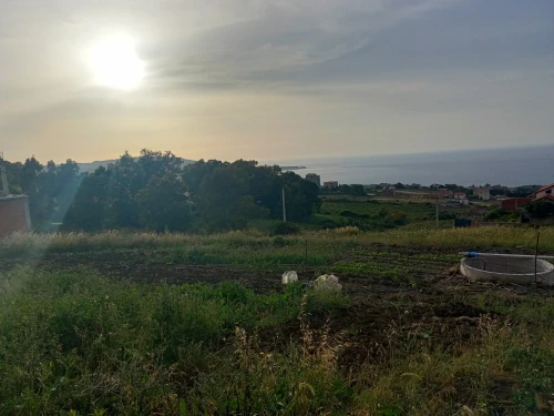 Vente Terrain Boumerdès Afir