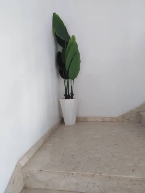 Pots et Plantes Artificielles