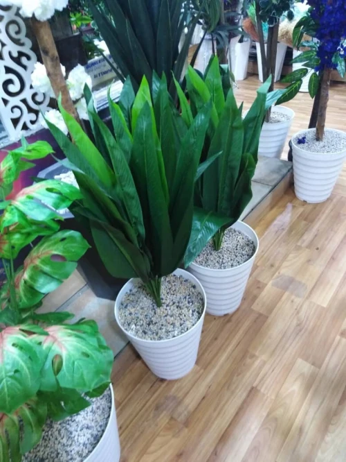 Pots et Plantes Artificielles