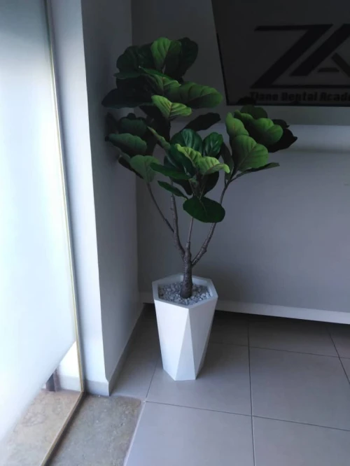 Pots et Plantes Artificielles
