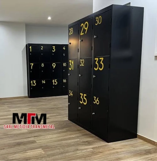 Armoire Multicases, Vestiaire Métallique, Classeur Métallique porte Document et Clapper 10 cases 