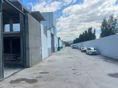 Location Hangar - Usine Blida Ouled selama