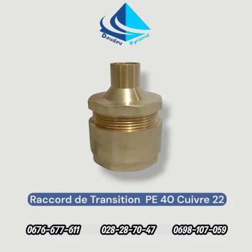 Raccord de Transition PE 40 Cuivre 22 