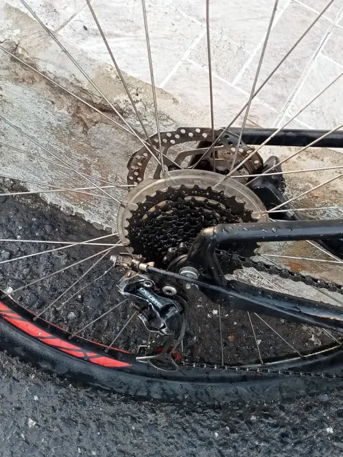 Velo specialized