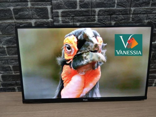 Télévision 