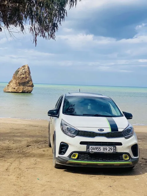 Kia Picanto 2019 Xline