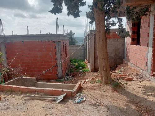 Vente Carcasse Tipaza Nador