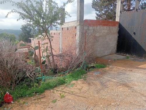 Vente Carcasse Tipaza Nador