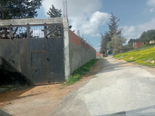 Vente Carcasse Tipaza Nador