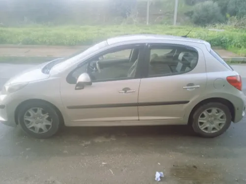 Peugeot 207 2009 Premium