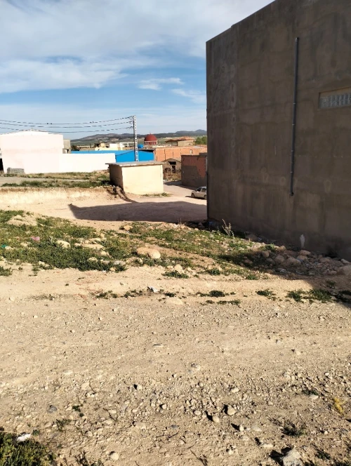 Vente Terrain Sidi Bel Abbès Tabla