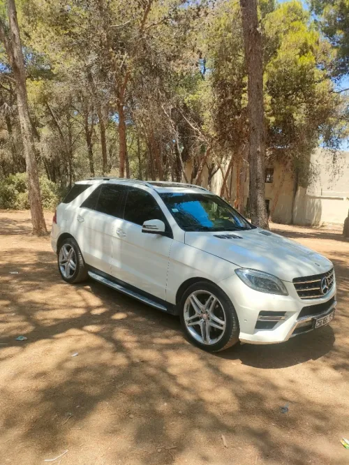 Mercedes ML 2013 250 CDI Pack AMG