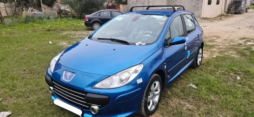 Peugeot 307 2006 Oxygo