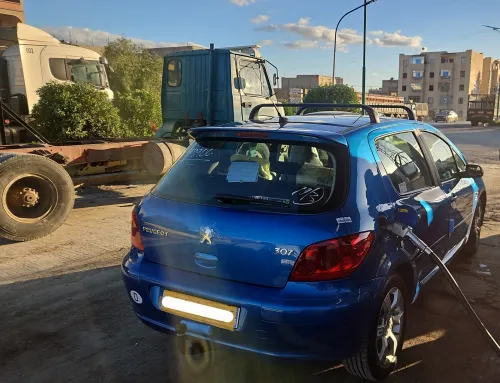 Peugeot 307 2006 Oxygo
