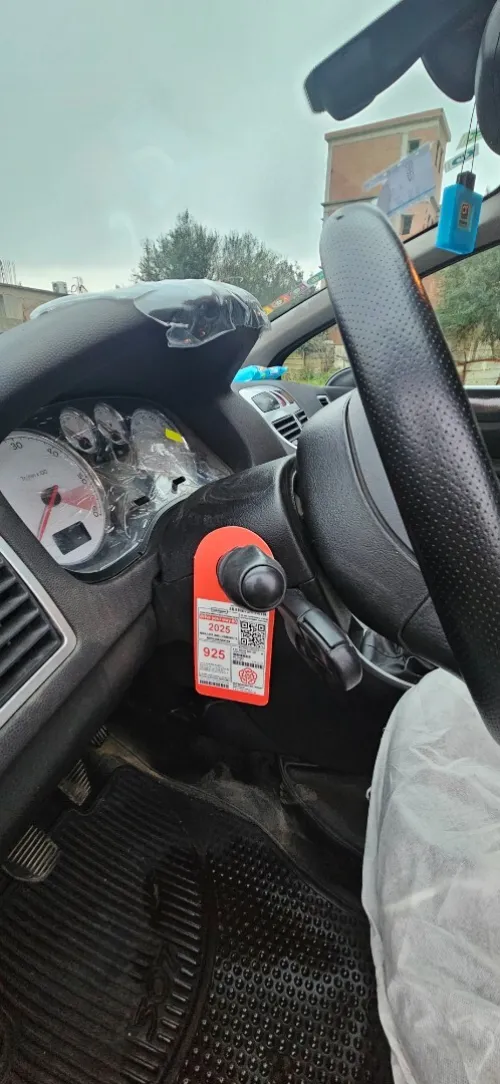 Peugeot 307 2006 Oxygo