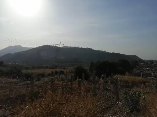 Vente Terrain Blida Bougara