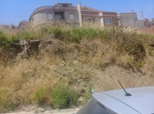 Vente Terrain Tipaza Cherchell