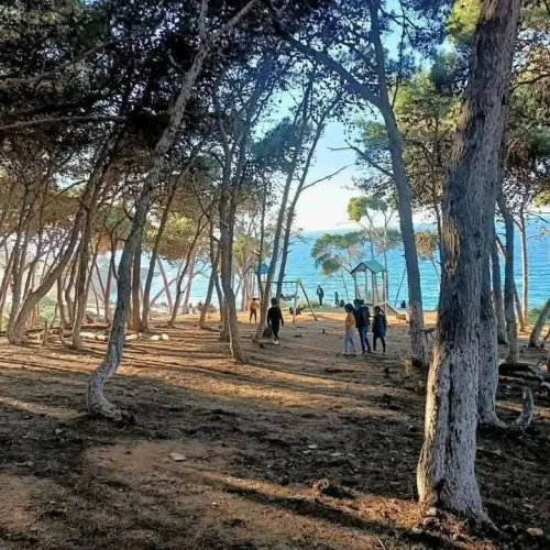 Location Appartement Tipaza Bou haroun