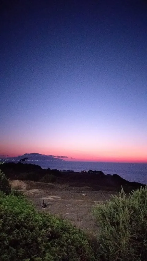 Location Appartement Tipaza Bou haroun